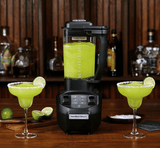 Hamilton Beach Blender