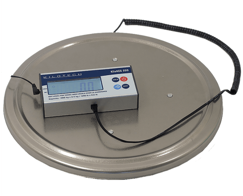 Taylor Precision Scale