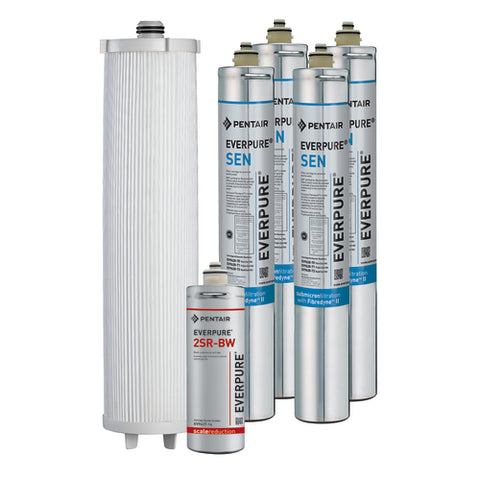 Everpure EV962872 - Endurance® Quad Water Filter Cartridge Kit