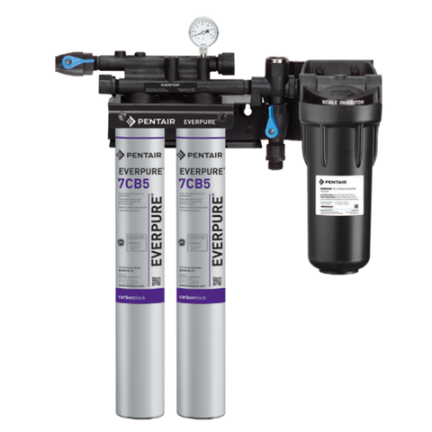 Garland Canada 9797-22 - (Cleveland (Garland Canada)) KleenSteam® II Twin Water Filter System