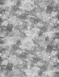 Scotsman Ice Machine with Bin