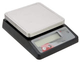 Taylor Precision Scale