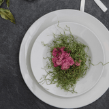 Browne Dinnerware