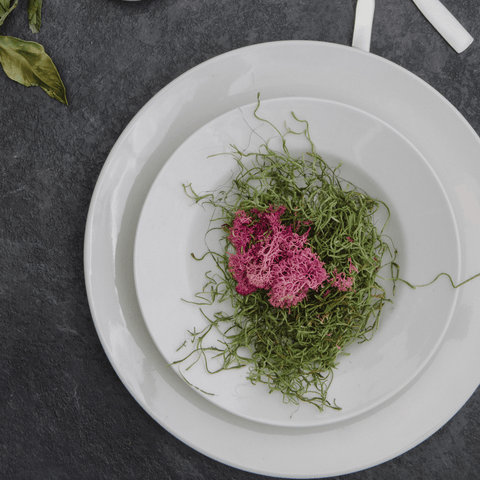 Browne Dinnerware