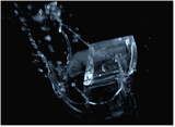 Hoshizaki Ice Machine with Bin