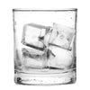 Scotsman Ice Machine with Bin