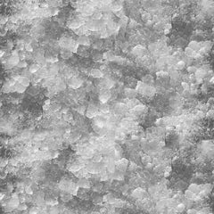 Scotsman Ice Machine with Bin
